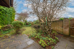 Garden- click for photo gallery